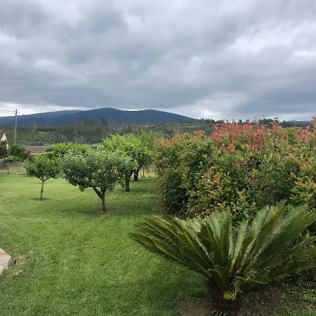 Vila Delfina Lousã Exterior foto
