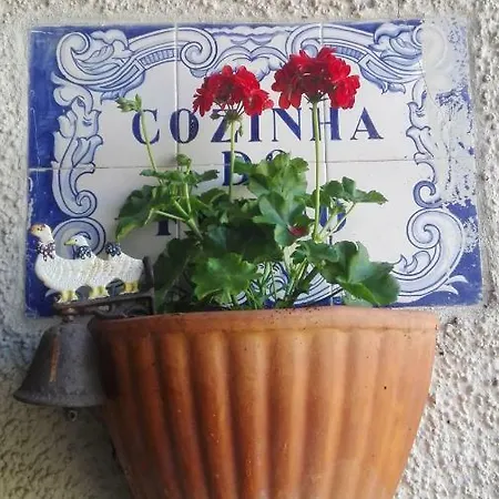 Vila Delfina Lousã Exterior foto