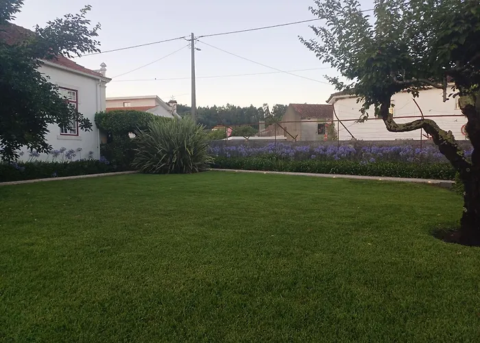 Vila Delfina