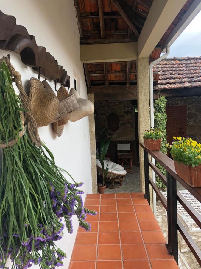 Delfina Farm stay